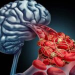 animación cerebro