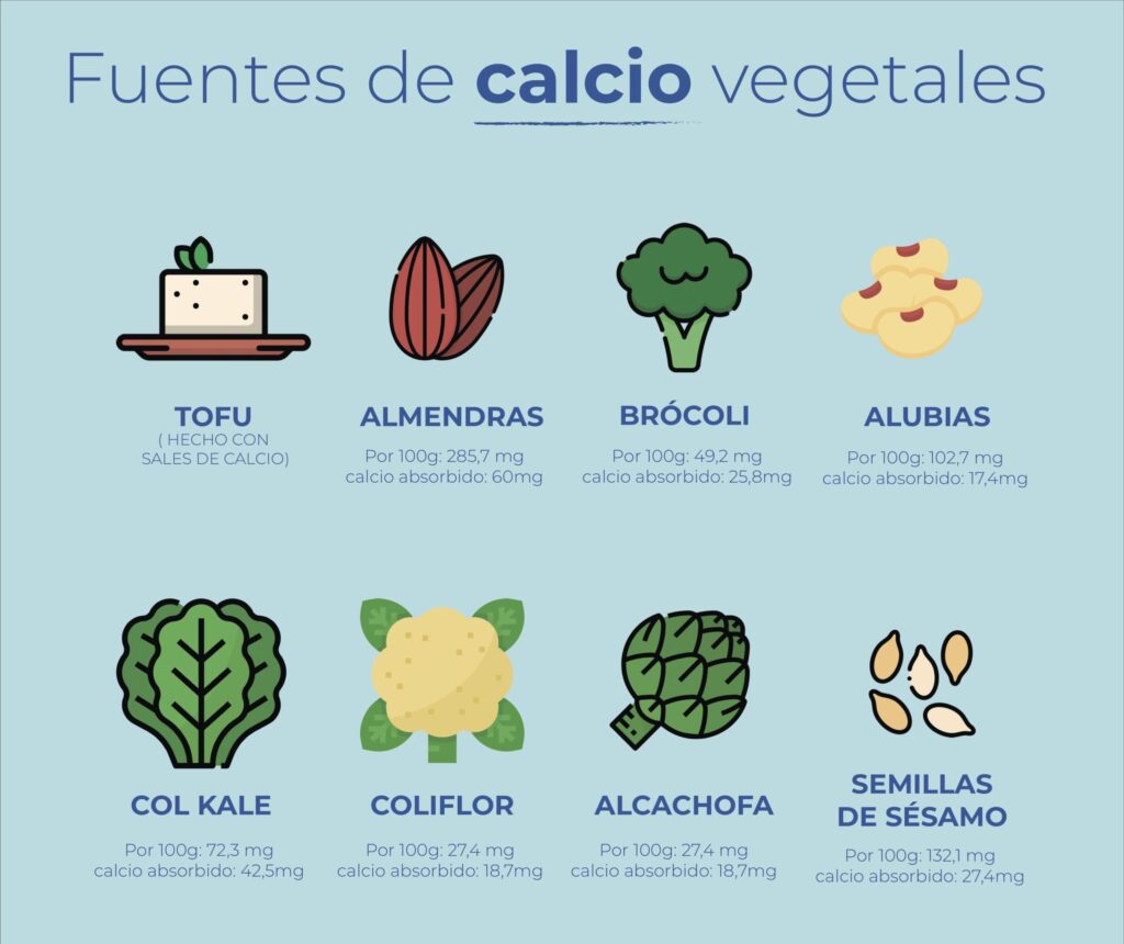 calcio infografía