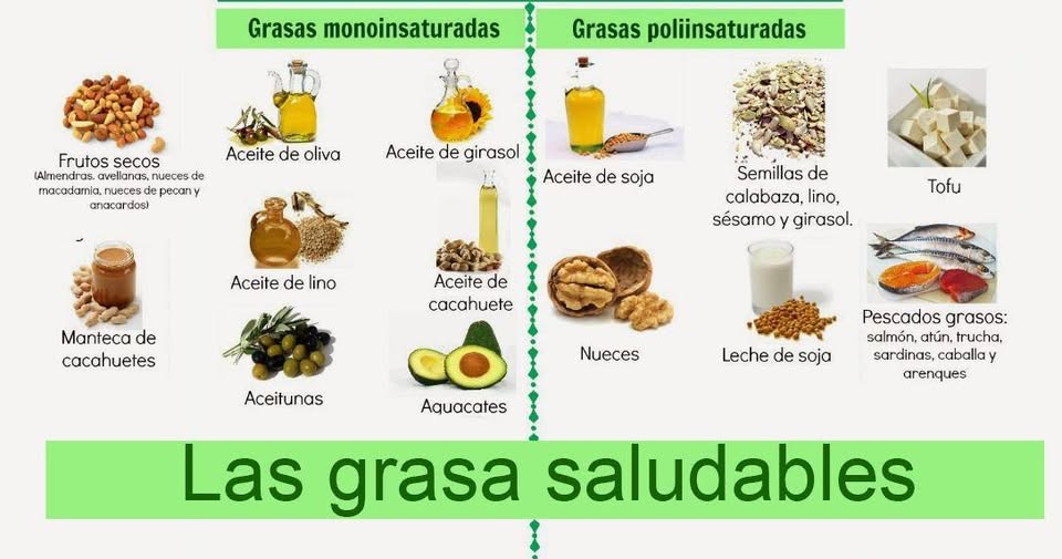 tipos de grasas