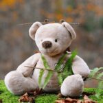 osito de peluche sobre tronco