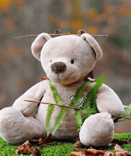 osito de peluche sobre tronco