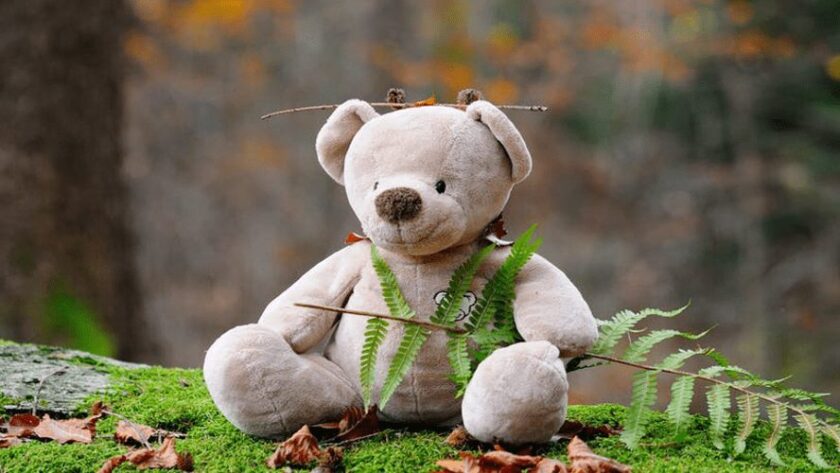 osito de peluche sobre tronco