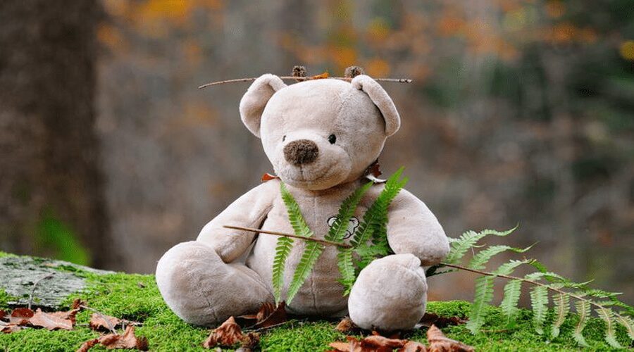 osito de peluche sobre tronco